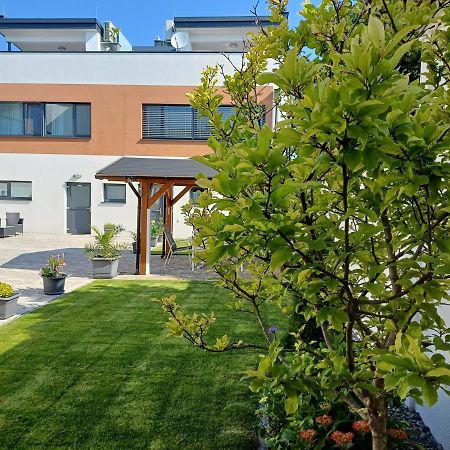 Penthouse Griemann 1 Mit Infrarotkabine Und Eigener Dachterrasse Fuer Max 4 Personen Illmitz Buitenkant foto